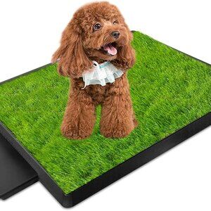 Dog Potty Training Tray with Artificial Grass – Indoor/Outdoor Puppy Litter Box
